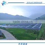 Hot Sale Plastic Film Greenhouse, Vegetables Greenhouse thumbnail-5