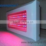 Attention! 120W Great High Power High Output Led Grow Lights EG-112*1W-LG1-SXB