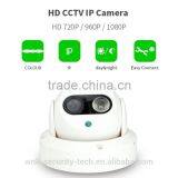 Vitevision 50m Long Range Night Vision Ceiling-mounted Dome IP Dome Camera With Low Prices
