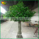 Good quality and price artificial ficus tree plastic artificial ficus tree