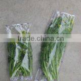 FFC 450 Fresh Leaf Vegetable Packing Machine