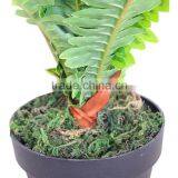 Decorative Artificial Boston Bonsai Plant and Trees thumbnail-4