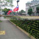 Best Selling Products Garden Green Wall/vertical Wall Garden Planter thumbnail-4