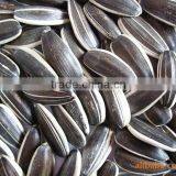 Hulled Sunflower Seeds 5009 With Good Quality thumbnail-5