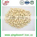 Blanched Good Quality Peanut Kernel in Long and Round Type thumbnail-3