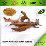 BNP Supply High Quality Radix Puerariae Soft Capsules/Kudzu Root Capsules thumbnail-1
