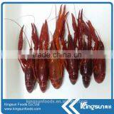 Best Supplier Frozen Water Cooked Crayfish / Crawfish thumbnail-2