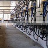 Milking Machine System With Automatic Cluster Remover thumbnail-3