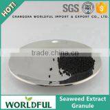 100% Natural Water Soluble Seaweed Extract Granule for Plant Growth thumbnail-1
