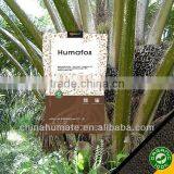 Pellet Phosphorus Humate Organic Fertiliser