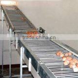 Best Selling Quail Cage For Sale in Quail Farm thumbnail-5