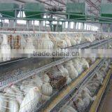 Chicken Coop thumbnail-1