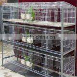 Gold Supplier Chicken Cage/chicken Farm/chicken Cage for Sale for All World thumbnail-2