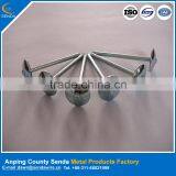 Anping Nails Factory Galvanized Umbrella Head Roofing Nails thumbnail-1