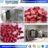 Stainless Steel Fruits Vacuum Lyophilizer Food Freeze Dryers Sale