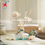 home decorations/transparent large glass vase/ flower in different container/