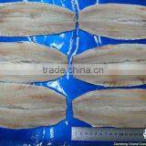 Dried Fresh Herring Fillet Seafood thumbnail-1