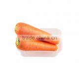 Chinese Fresh Vegetables Fresh Carrots thumbnail-4