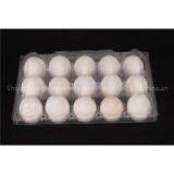 Plastic Egg Tray thumbnail-1