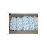 Red Garlic thumbnail-3