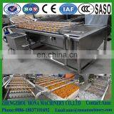 Surfing Type Vegetable Washing Machine| Stainless Steel Fruit and Vegetable Washing Machine With CE thumbnail-4