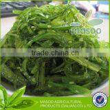 High-quality Frozen Seasoning Wakame for Sushi ,salad Etc., Healthy Food thumbnail-1