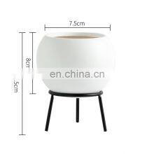 Instagram Nordic Ironwork Meaty Flowerpot Vase Set in Black and White thumbnail-2