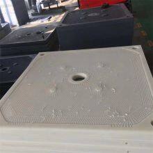 High Press Membrane Chamber Recess Filter Plate /Enhanced PP Filter Plate For Sale thumbnail-5