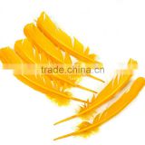 wholesale yellow dyed turkey feather for fancy feathers