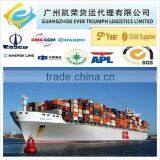 Cheap Sea freight from Guangzhou/Shenzhen/Shanghai China to Gdynia, Poland