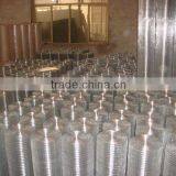 Hot Dip Galvanized Welded Wire Mesh