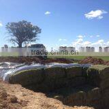 Muti-layer Sheeting Film for Silage Protection thumbnail-3