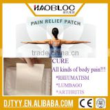 Daily Need Product Cold Hot Pain Relief Warm Paste