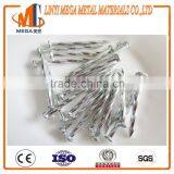 Shandong Nails Factory Wholesale Hardened Steel Galvanized Concrete Nails thumbnail-1