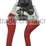 Pruning Shear