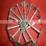 2"x9bwg Galvanized Roofing Nails With Umbrella Head thumbnail-3