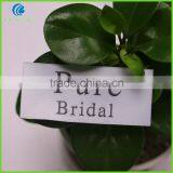 Custom Own Logo High Quality Heat Cut White Woven Clothing Labels thumbnail-2