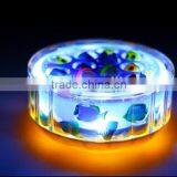 Fishing Interactive Game Toy for Kids,B/O Music Fishing Toy Game thumbnail-2