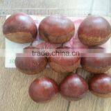 2015 Growth Edible Chestnuts for Sale
