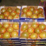 Chinese Fresh Honey Pomelo Grapefruit thumbnail-2