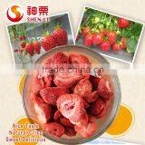 Organic Freeze-dried Stawberry Slice thumbnail-2