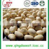 Big Size Salted Roasted Peanut Kernel With High Quality thumbnail-5