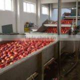 Tianshui Desun Fruits & Vegetables Import & Export Co., Ltd. company overview - view 3 thumbnail