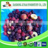 Wholesale Fresh Frozen Iqf Berries From China thumbnail-2