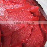Chinese Good Quality Canned Tomato Paste thumbnail-1