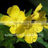 Organic High Quality EPO GLA 10% Refined Essential Oil thumbnail-3