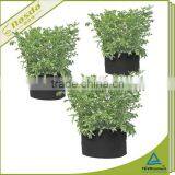 Disposable Grow Bag Non Woven Plant Pots Flower Pots thumbnail-1