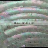 Natural Curve Pattern Turbo Marmoratus Shell Laminates