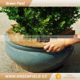Green Field Coconut Mat Fiber Disc thumbnail-1