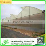 Multi-span Open Roof Green Houses thumbnail-3